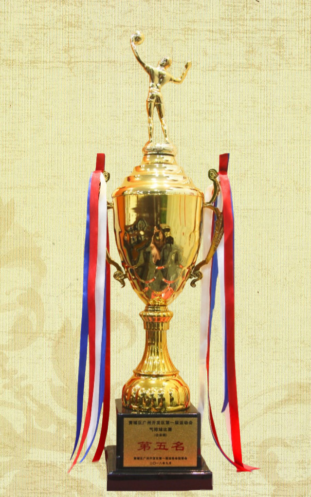 黃埔區(qū)廣州開發(fā)區(qū)第一屆運動會氣排球比賽第五名1.jpg