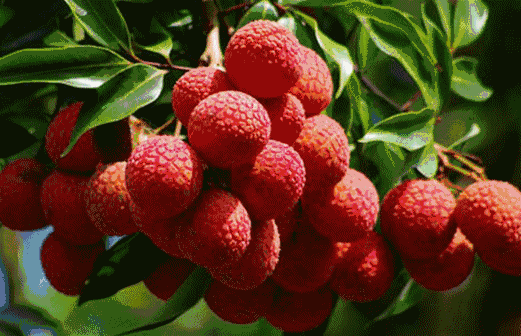 微信圖片_20210625100056.gif 微信圖片_20210625100056.gif