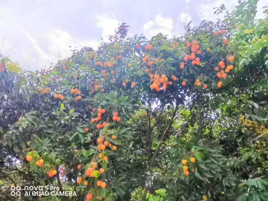 微信圖片_20210625101112.jpg 微信圖片_20210625101112.jpg