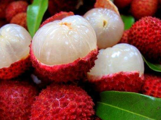 微信圖片_20210625101404.png 微信圖片_20210625101404.png