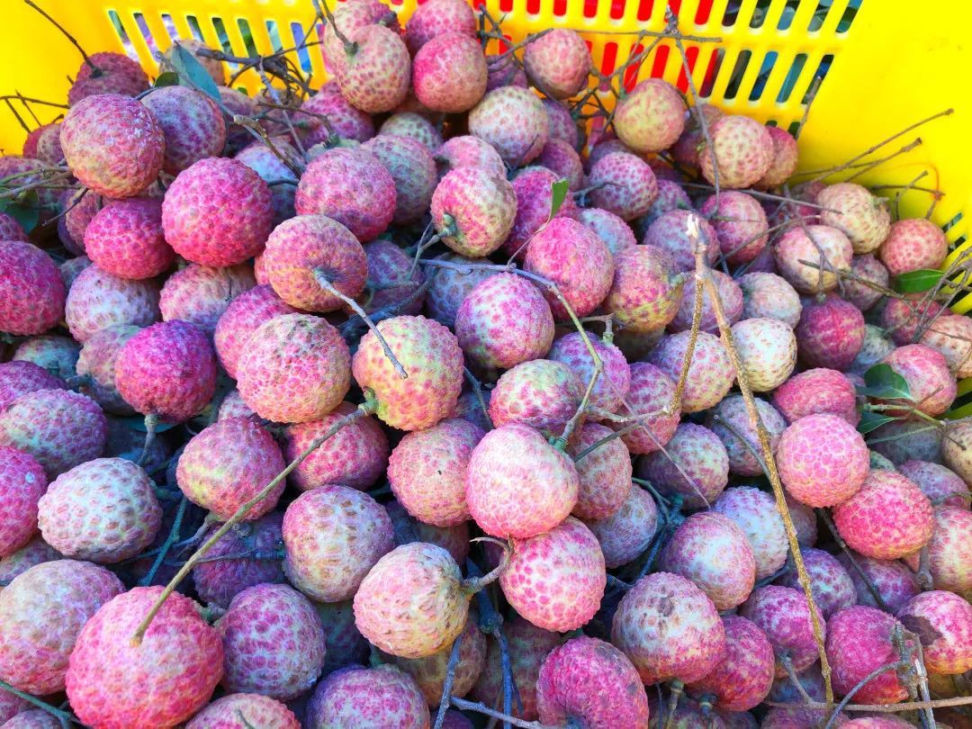 微信圖片_20210625163724.jpg 微信圖片_20210625163724.jpg