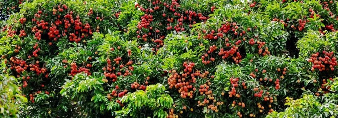 微信圖片_20210628100001.jpg 微信圖片_20210628100001.jpg