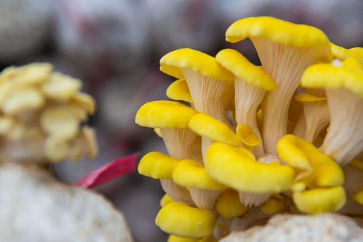 微信圖片_20210707111740.png 微信圖片_20210707111740.png