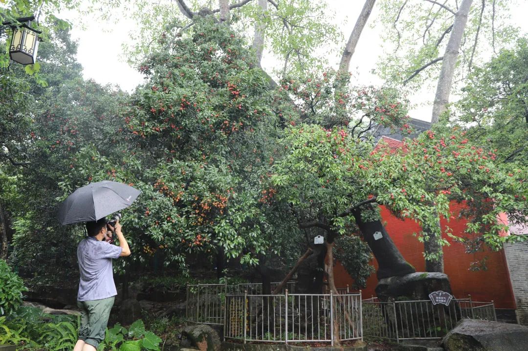 微信圖片_20210712151903.jpg 微信圖片_20210712151903.jpg