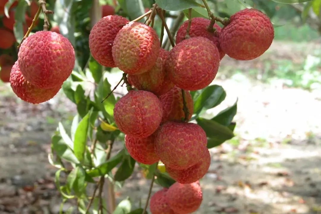 微信圖片_20210712151919.jpg 微信圖片_20210712151919.jpg