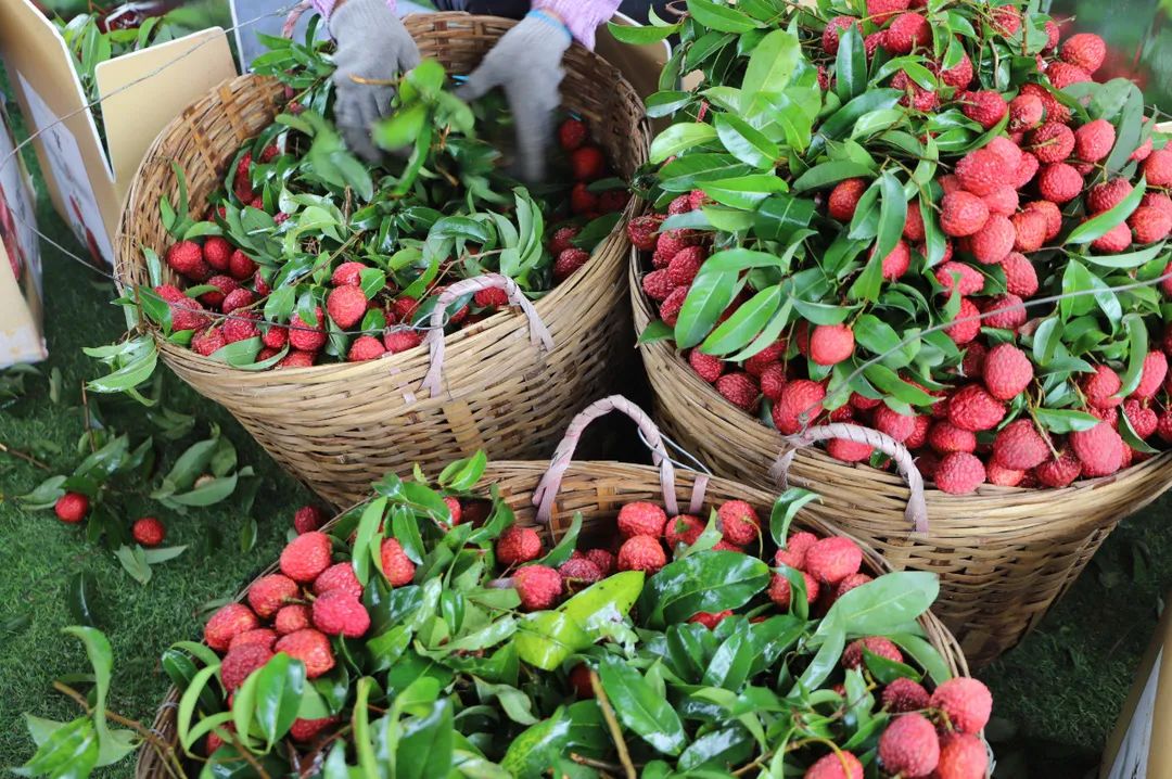 微信圖片_20210712151943.jpg 微信圖片_20210712151943.jpg